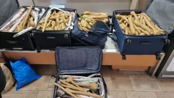 חדשות בנושאי שילוח בינלאומי, יבוא, יצוא, תעשיה ולוגיסטיקה  | PORT2PORT