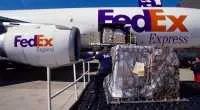 FedEx אקספרס מוסיפה מטוסי מטען; תגדיל את קיבולת ההובלה לצפון אירופה