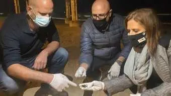 המשרד להגנת הסביבה: יש לנו שליטה על אירוע הזיהום