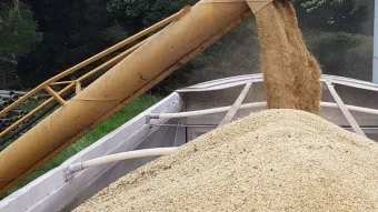 יבואני התבואות מצמצמים את הפריקה בנמל אשדוד