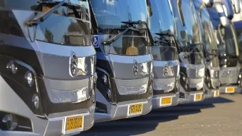גולדן דרגון הוא מותג האוטובוסים הנמכר בישראל ב-2021