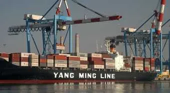 יו"ר חברת Yang Ming: לא חושבים על מיזוג