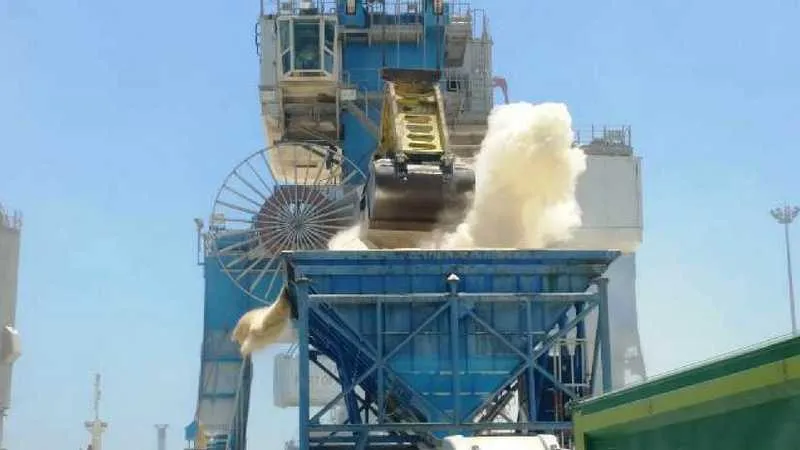 אבקת תירס בנמל אשדוד. צילום: דרור אריאלי 