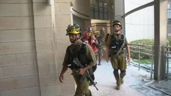 מבצע "שאגת הארי": מעל 12,000 תביעות הוגשו למס רכוש