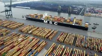 אלפאליינר: חברת MSC הזמינה אניות MEGAMAX24