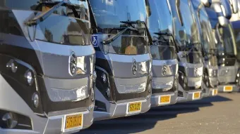 גולדן דרגון בראש טבלת מותגי האוטובוסים הנמכרים בישראל