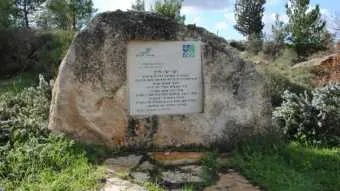 ISLINE פתחה את 2016 עם טיול ביער החברה