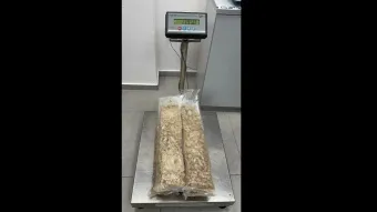 ענף הספנות מהסס לחזור לים סוף חרף הודעת החות׳ים על הפסקת אש 