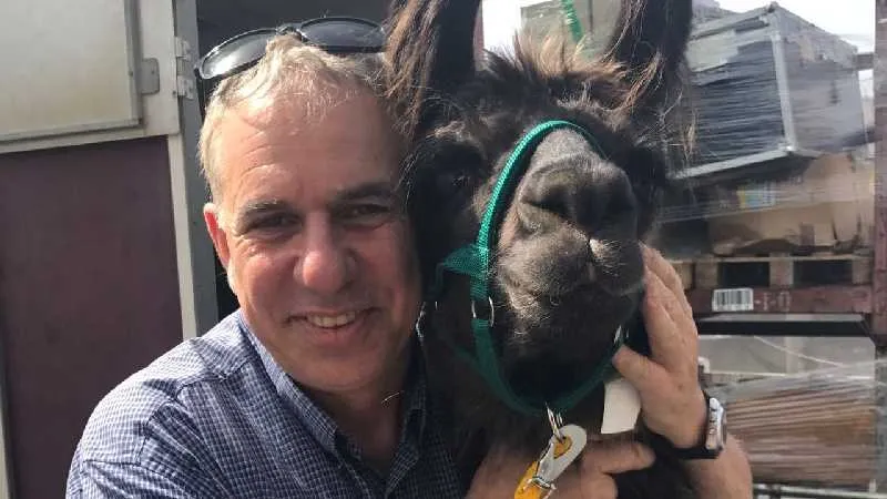 רונן שפירא בחברת עולה חדשה 