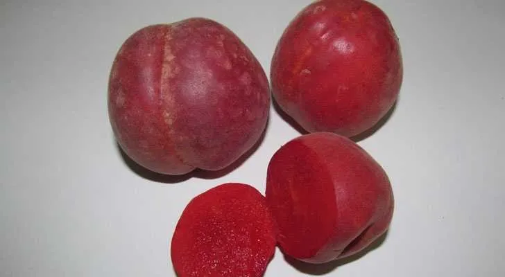 /'קקכעהכע