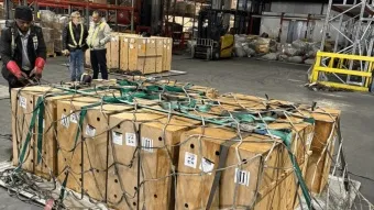 מבצע לוגיסטי חריג: 20 קנגורואים הוטסו מישראל למוסקבה באמצעות אתיחאד קרגו