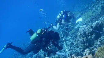 בדיקה של שונית האלמוגים באילת. צילום: ענבל איילון, המכון הבין אוניברסיטאי באילת
