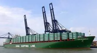 צניחה בהכנסות וברווח הנקי של CSCL במחצית הראשונה