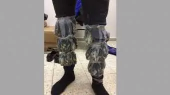 החוחיות שנתפסו במכנסי הנוסע