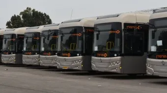 אוטובוסים של מטרופולין מתוצרת גולדן דרגון. צילום: נועם זיו
