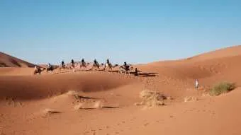 המשרד להגנת הסביבה: זיהום אוויר גבוה מאוד החל משעות הצהריים באזור הנגב עד מפרץ אילת