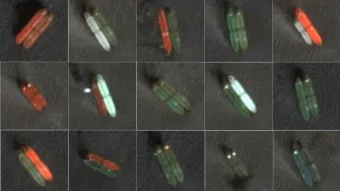 חדשות בנושאי שילוח בינלאומי, יבוא, יצוא, תעשיה ולוגיסטיקה  | PORT2PORT