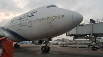 הובלה אווירית: חדשות בנושא חברות תעופה - 23